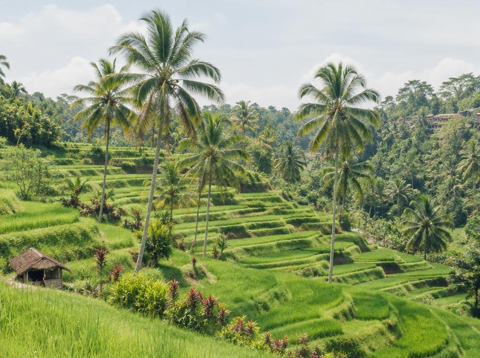Landscape in Indonesia
